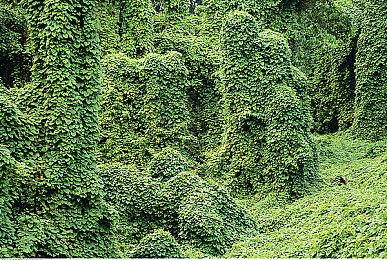 《F1 2021》发布免费更新 新赛道Portimao上线